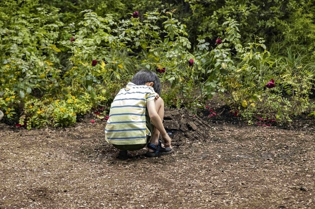 『禁じられた遊び』©2023映画『禁じられた遊び』製作委員会
