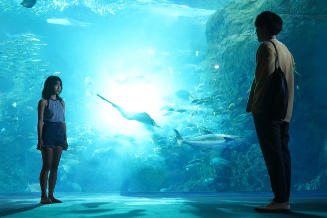 「真夏のシンデレラ」最終話（C）フジテレビ