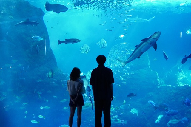 「真夏のシンデレラ」最終話（C）フジテレビ