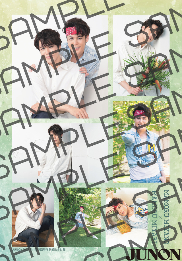 「JUNON」11月号【特別版】シール