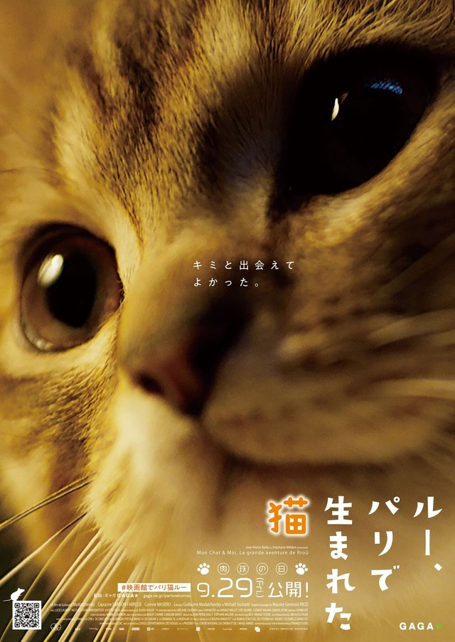 『ルー、パリで生まれた猫』猫チラシ　© 2023 MC4–ORANGE STUDIO–JMH & FILO Films