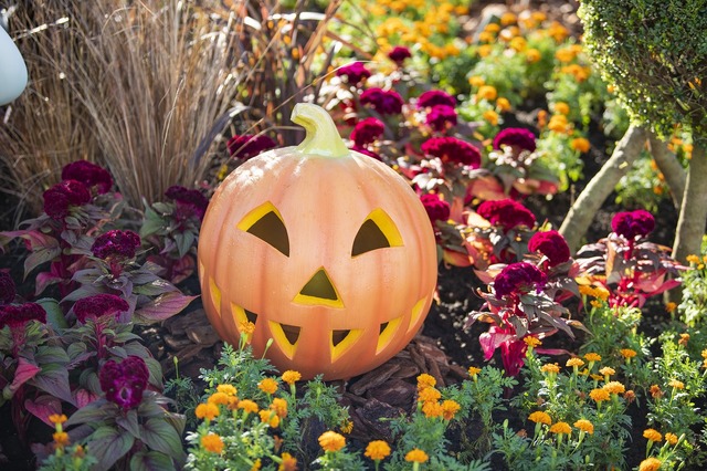撮影スポットが盛りだくさん！！東京ディズニーランド「ディズニー・ハロウィーン」デコレーションを紹介 As to Disney artwork, logos and properties： (C) Disney