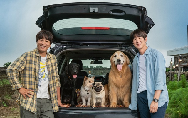 ユ・ヨンソク＆チャ・テヒョン共演、愛犬の里親探しに『マイ・ハート