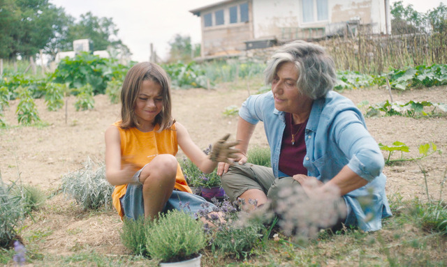 『ミツバチと私』© 2023 GARIZA FILMS INICIA FILMS SIRIMIRI FILMS ESPECIES DE ABEJAS AIE