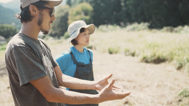 『ロマンチック金銭感覚』