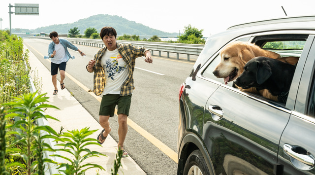 『マイ・ハート・パピー』ⓒ 2023. Yworks Entertainment Co.,Ltd. All rights reserved.