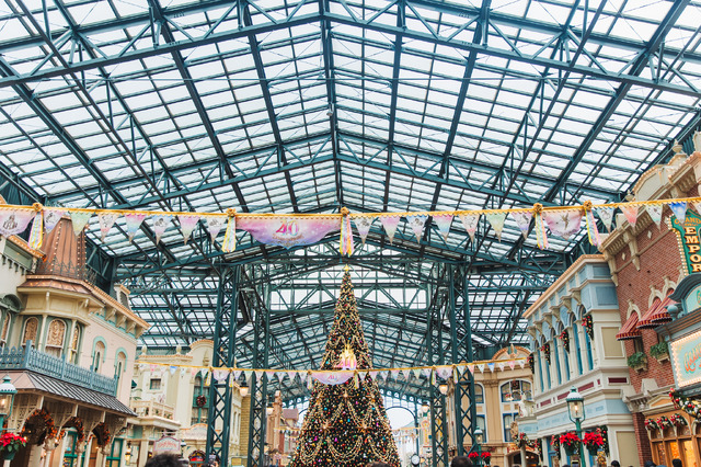 圧倒的にロマンティック！約15メートル、40周年の巨大クリスマスツリーの見逃せない輝き