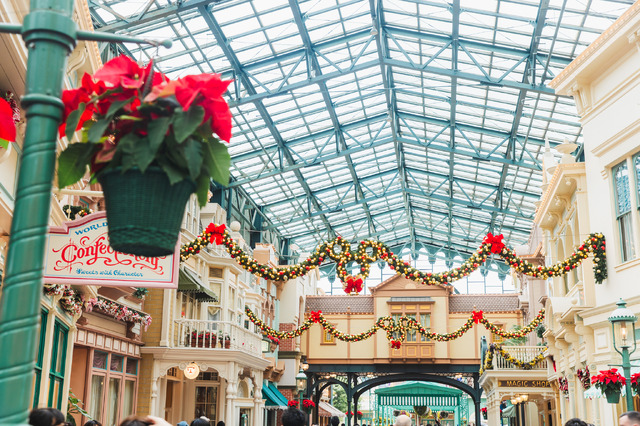 圧倒的にロマンティック！約15メートル、40周年の巨大クリスマスツリーの見逃せない輝き