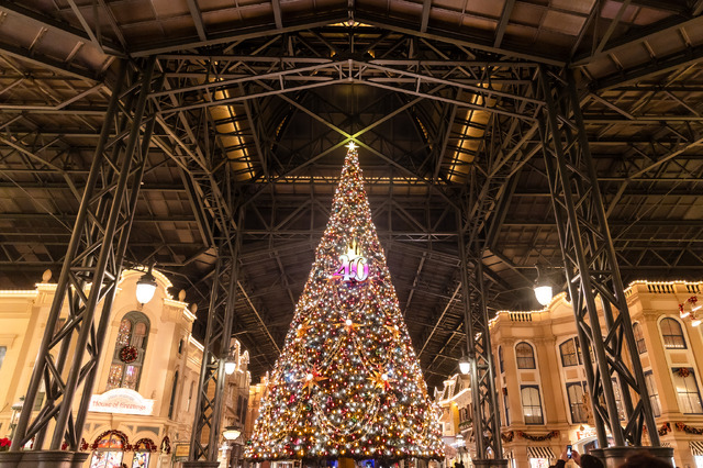 圧倒的にロマンティック！約15メートル、40周年の巨大クリスマスツリーの見逃せない輝き
