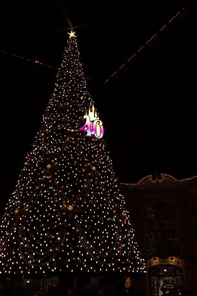 圧倒的にロマンティック！約15メートル、40周年の巨大クリスマスツリーの見逃せない輝き