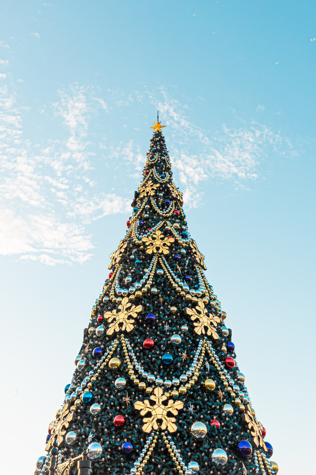 4年ぶりに復活したクリスマスツリーは夜に秘密が　きらびやかな東京ディズニーシーを大満喫