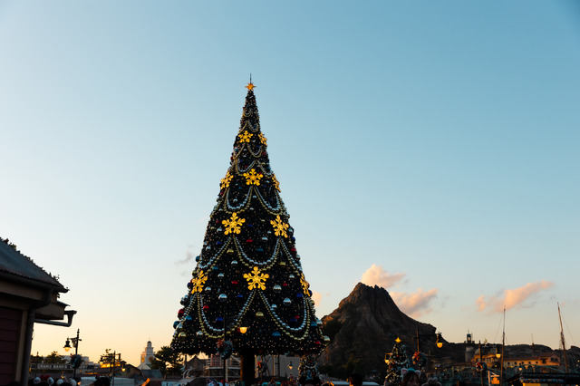 4年ぶりに復活したクリスマスツリーは夜に秘密が　きらびやかな東京ディズニーシーを大満喫