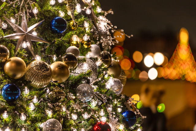 4年ぶりに復活したクリスマスツリーは夜に秘密が　きらびやかな東京ディズニーシーを大満喫