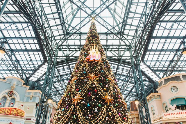 ホリデー期間の注目フードを食べ歩き！スペシャルイベント「ディズニー・クリスマス」