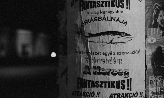 『ヴェルクマイスター・ハーモニー 4K レストア版』© Göess Film, Von Vietinghoff Filmproduktion, 13 Production