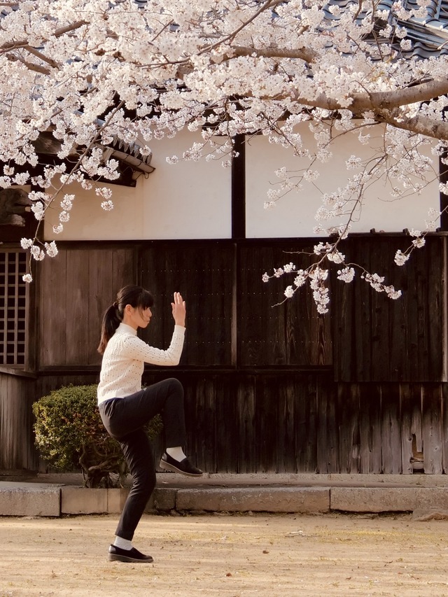 『五香宮の猫』（C）2024 Laboratory X, Inc