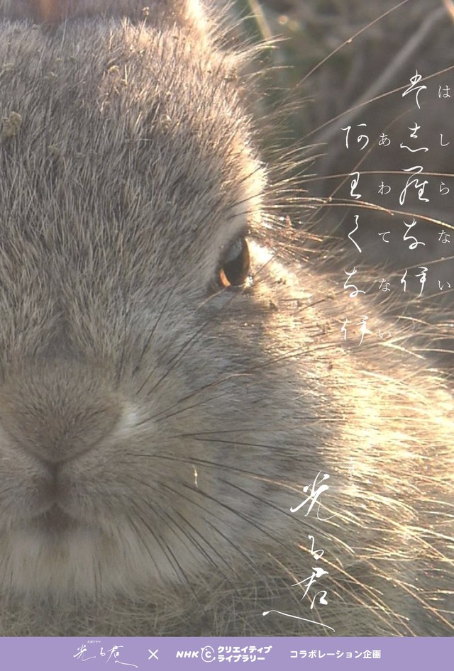 大河ドラマ「光る君へ」