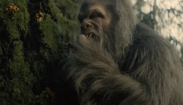 『Sasquatch Sunset（原題）』 (C)APOLLO