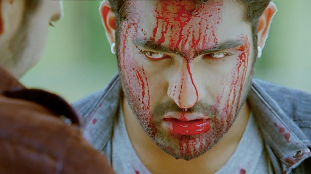 『ブリンダーヴァナム 恋の輪舞』