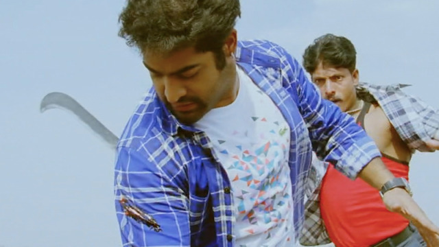 『ブリンダーヴァナム 恋の輪舞』