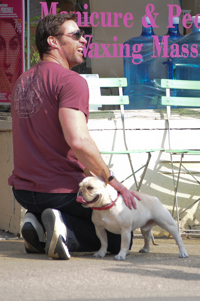 ヒュー・ジャックマンと愛犬ピーチズ -(C) Splash／Aflo