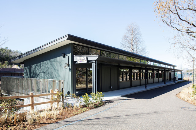 ジブリパーク新エリア「魔女の谷」© Studio Ghibli