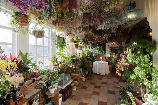 ジブリパーク新エリア「魔女の谷」© Studio Ghibli