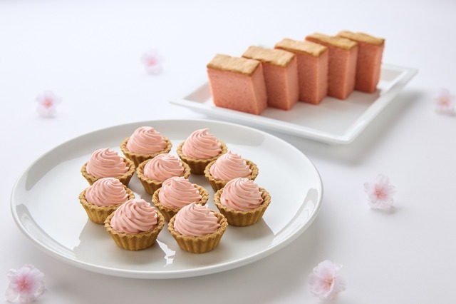 昼夜でイクスピアリの表情が変わる！“桜”カラーに染まる「サクラ ランタン ストリート」開催中