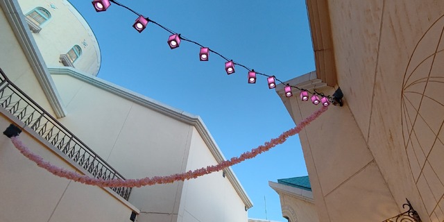 昼夜でイクスピアリの表情が変わる！“桜”カラーに染まる「サクラ ランタン ストリート」開催中