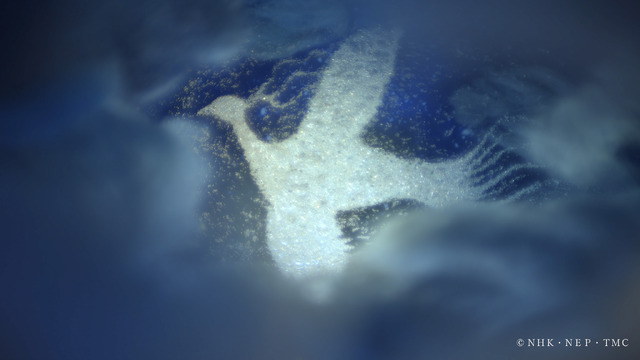 コマ撮りアニメ「ルカと太陽の花」