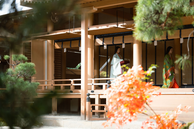 大河ドラマ「光る君へ」第14回