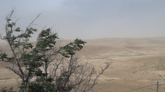 『ノー・ホーム・ムーヴィー』Collections CINEMATEK - ©Fondation Chantal Akerman