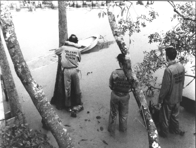 『ダウン・バイ・ロー』© COPYRIGHT 1986 BLACK SNAKE INC