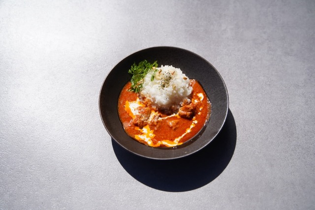 かつての水面と森の映画祭 2024