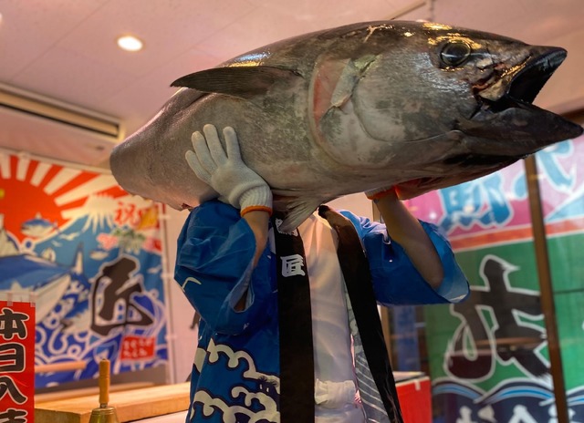 かつての水面と森の映画祭 2024