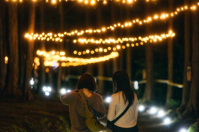 かつての水面と森の映画祭 2024