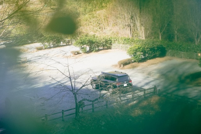 かつての水面と森の映画祭 2024