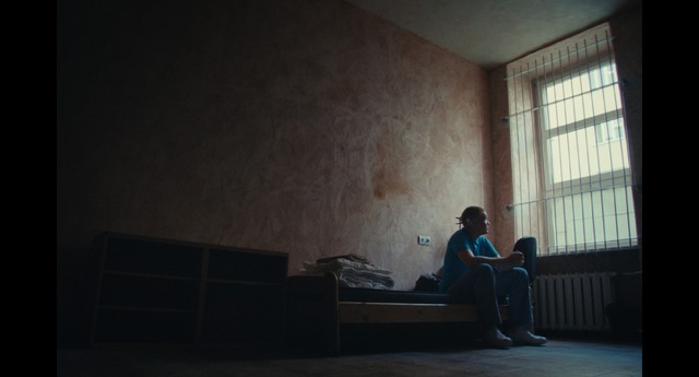 『ヤマアラシのジレンマ』（Hedgehogʼs dilemma）