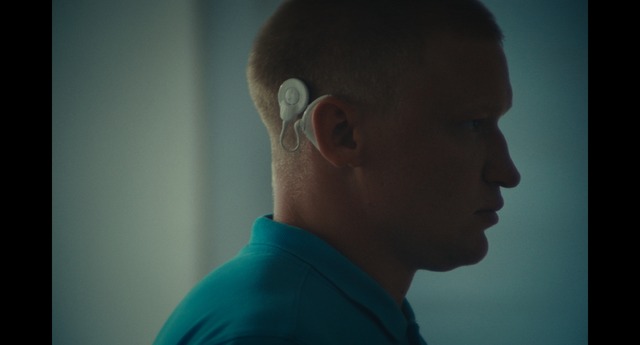 『ヤマアラシのジレンマ』（Hedgehogʼs dilemma）