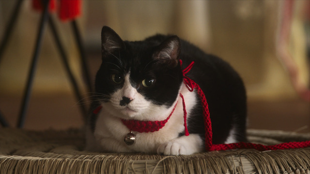 「光る君へ」26話（C）NHK