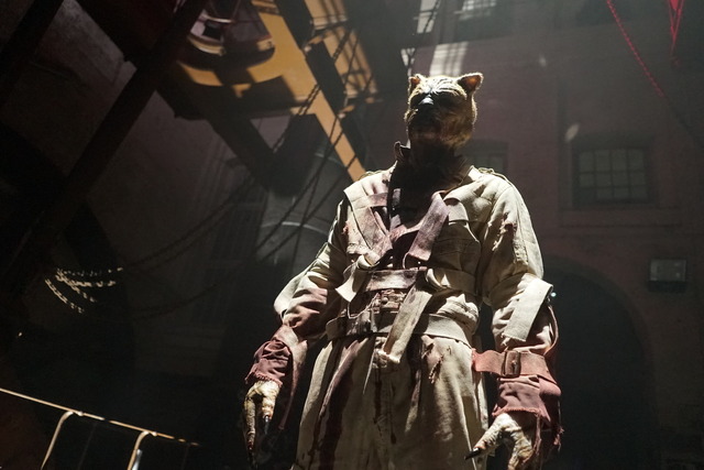 『プー2 あくまのくまさんとじゃあくななかまたち』© 2024 ITN DISTRIBUTION, INC. ALL RIGHTS RESERVED.