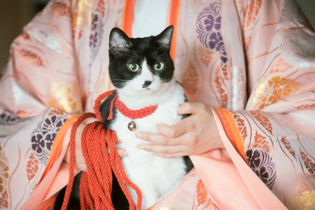 「光る君へ」27話（C）NHK