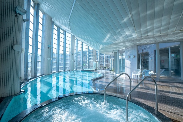 かつての水面と森の映画祭 2024