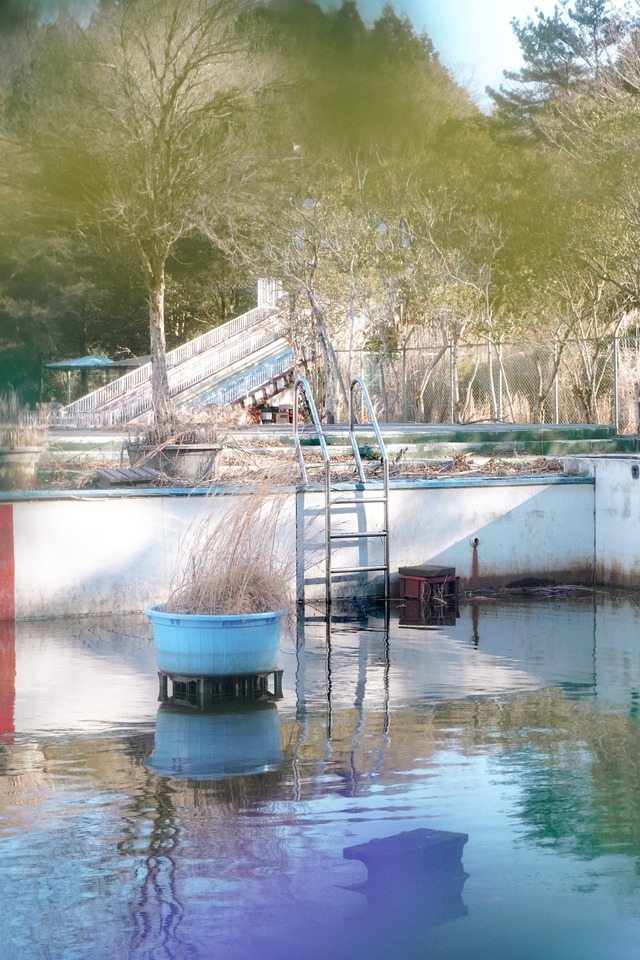 かつての水面と森の映画祭 2024