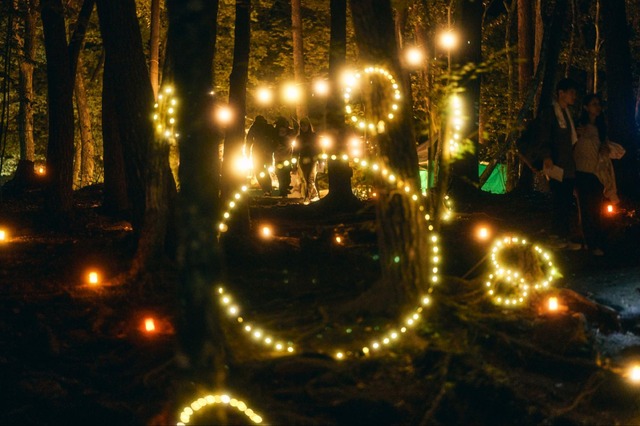 かつての水面と森の映画祭 2024