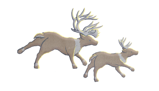 アニエホン「PIHOTEK(ピヒュッティ) 北極を風と歩く」©荻田泰永・井上奈奈・講談社／ANIMEHONプロジェクト