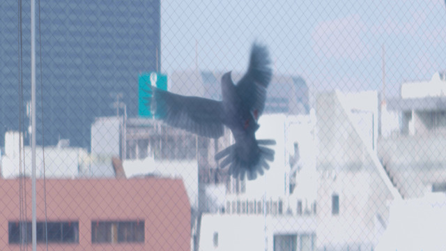 『MONDAYS／このタイムループ、上司に気づかせないと終わらない』©CHOCOLATE