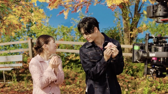 三角チョコパイ「キレキレ収穫祭」