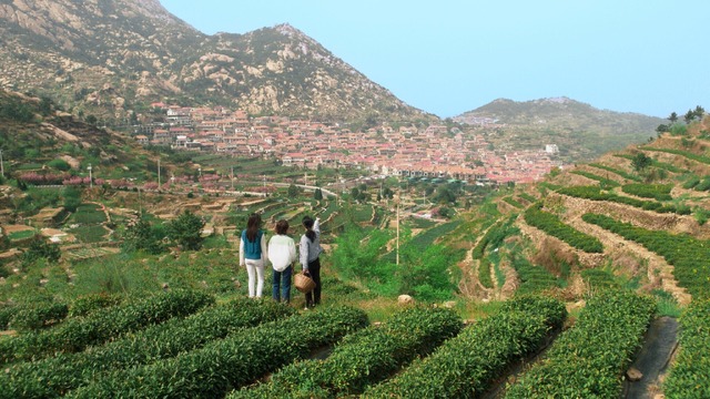 『夏が来て、冬が往く』©MICRO ENTERTAINMENT TIMES FILM CO. LTD.