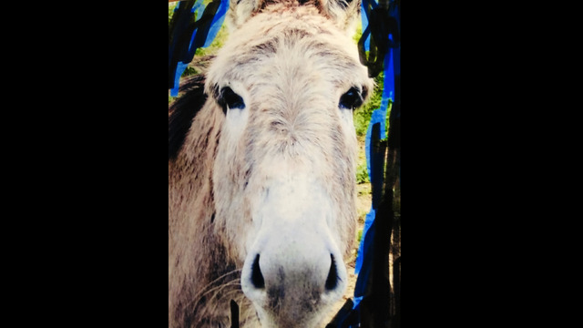 『Scénarios』© Écran noir productions - Arte France - Roadstead